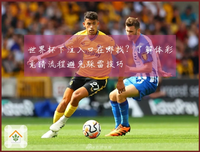 世界杯下注入口在哪找？了解体彩竞猜流程避免踩雷技巧