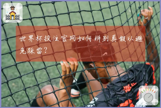 世界杯投注官网如何辨别真假以避免踩雷？