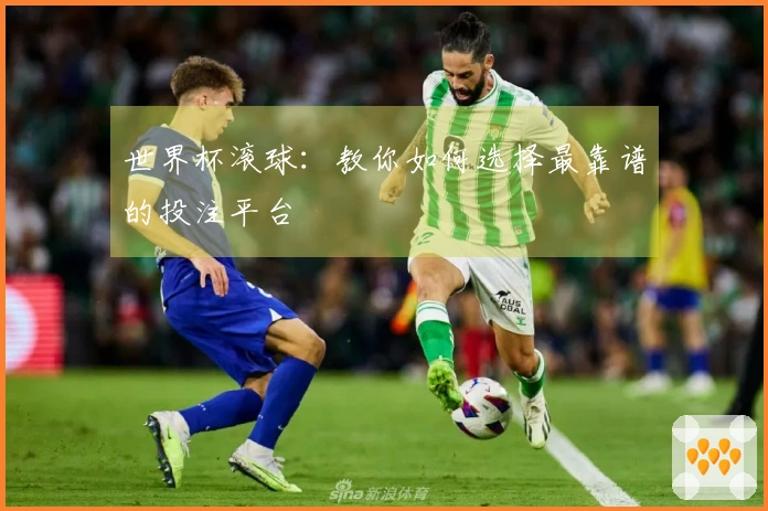 世界杯滚球：教你如何选择最靠谱的投注平台