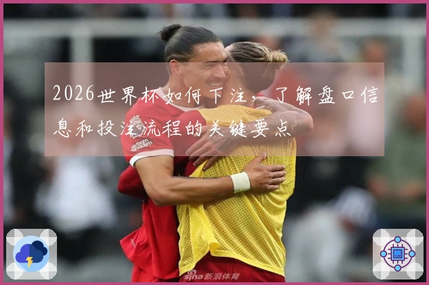 2026世界杯如何下注，了解盘口信息和投注流程的关键要点