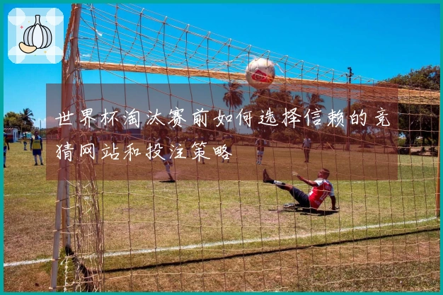 世界杯淘汰赛前如何选择信赖的竞猜网站和投注策略