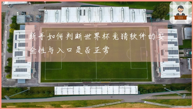 新手如何判断世界杯竞猜软件的安全性与入口是否正常