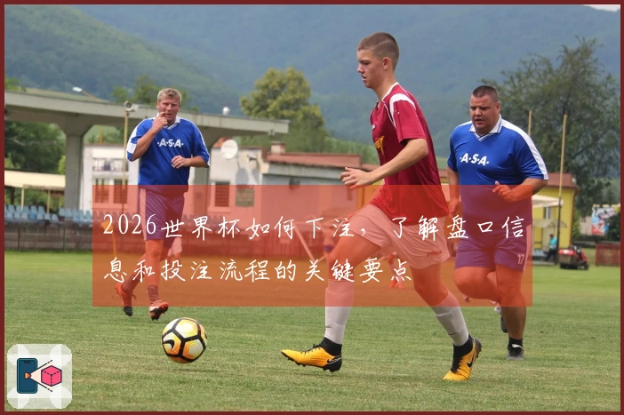2026世界杯如何下注，了解盘口信息和投注流程的关键要点