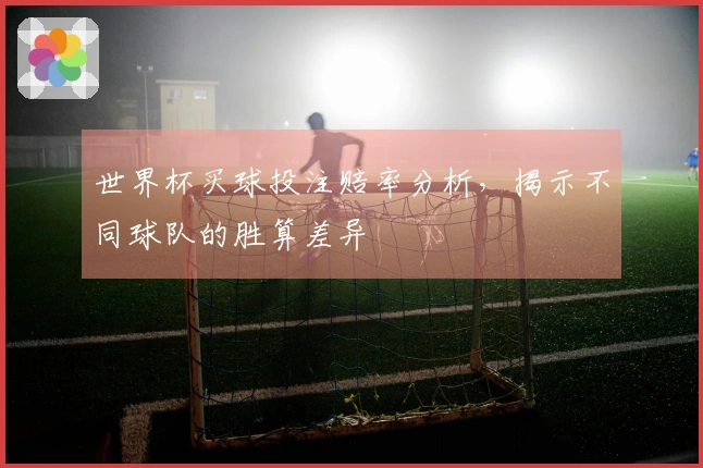 世界杯买球投注赔率分析，揭示不同球队的胜算差异