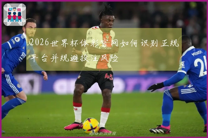 2026世界杯体彩官网如何识别正规平台并规避投注风险