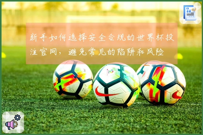 新手如何选择安全合规的世界杯投注官网，避免常见的陷阱和风险